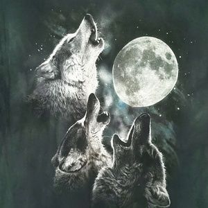 Mens 3 Wolf Moon Large Short Sleeve T-shirt